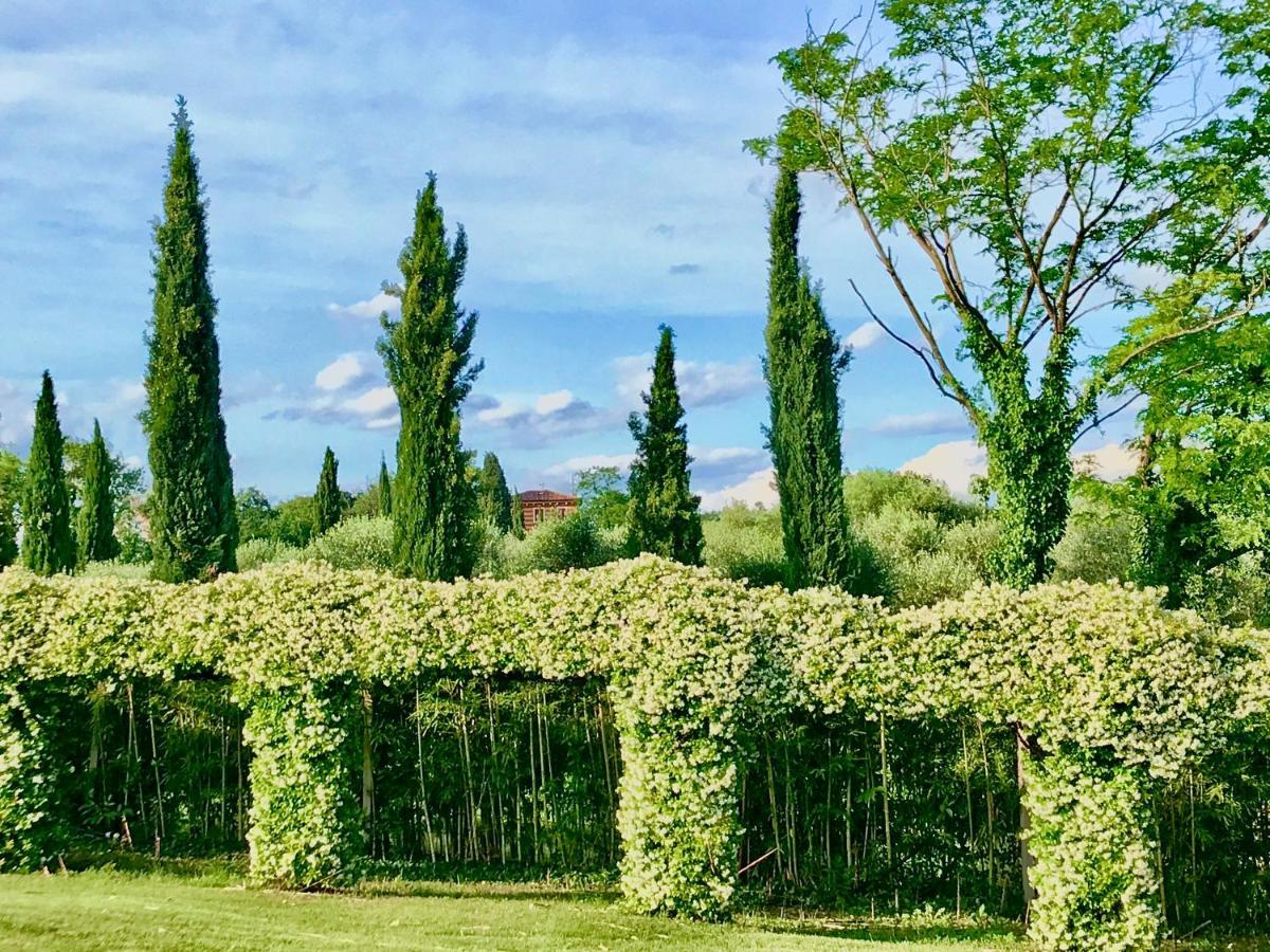 Agriturismo Antica Dimora Del Turco Sona Exteriér fotografie