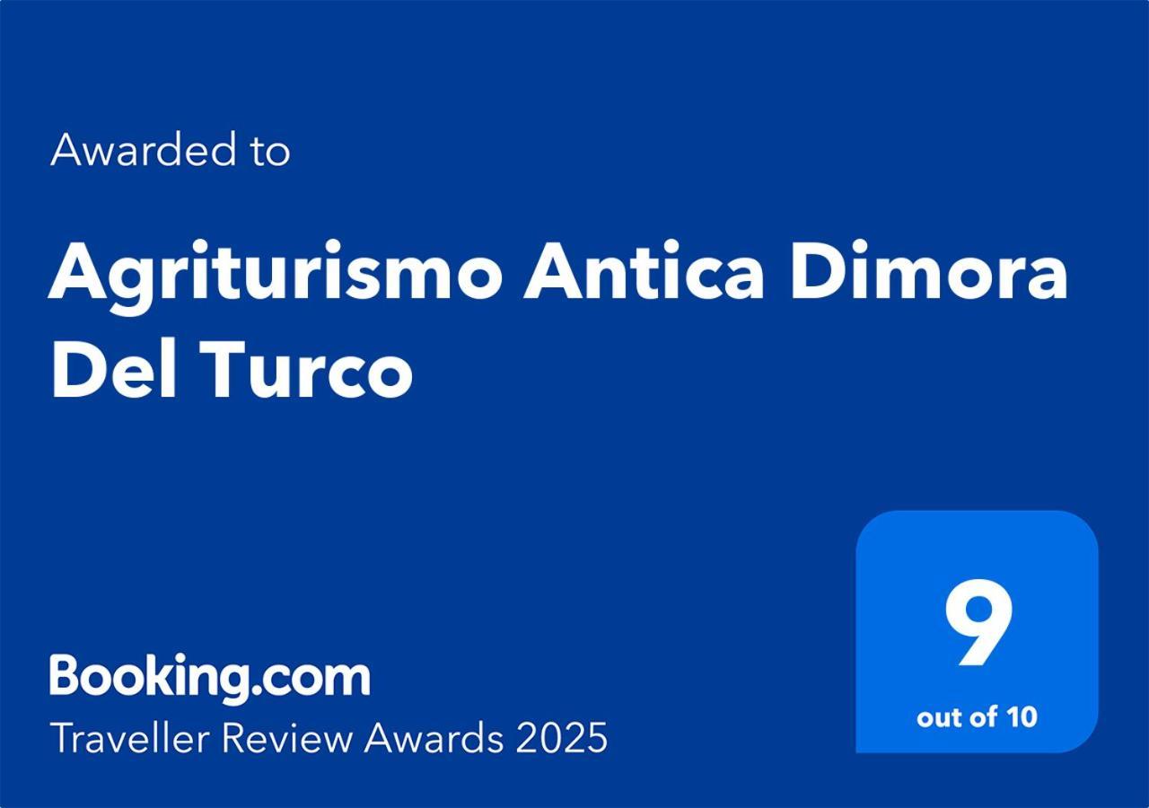 Agriturismo Antica Dimora Del Turco Sona Exteriér fotografie