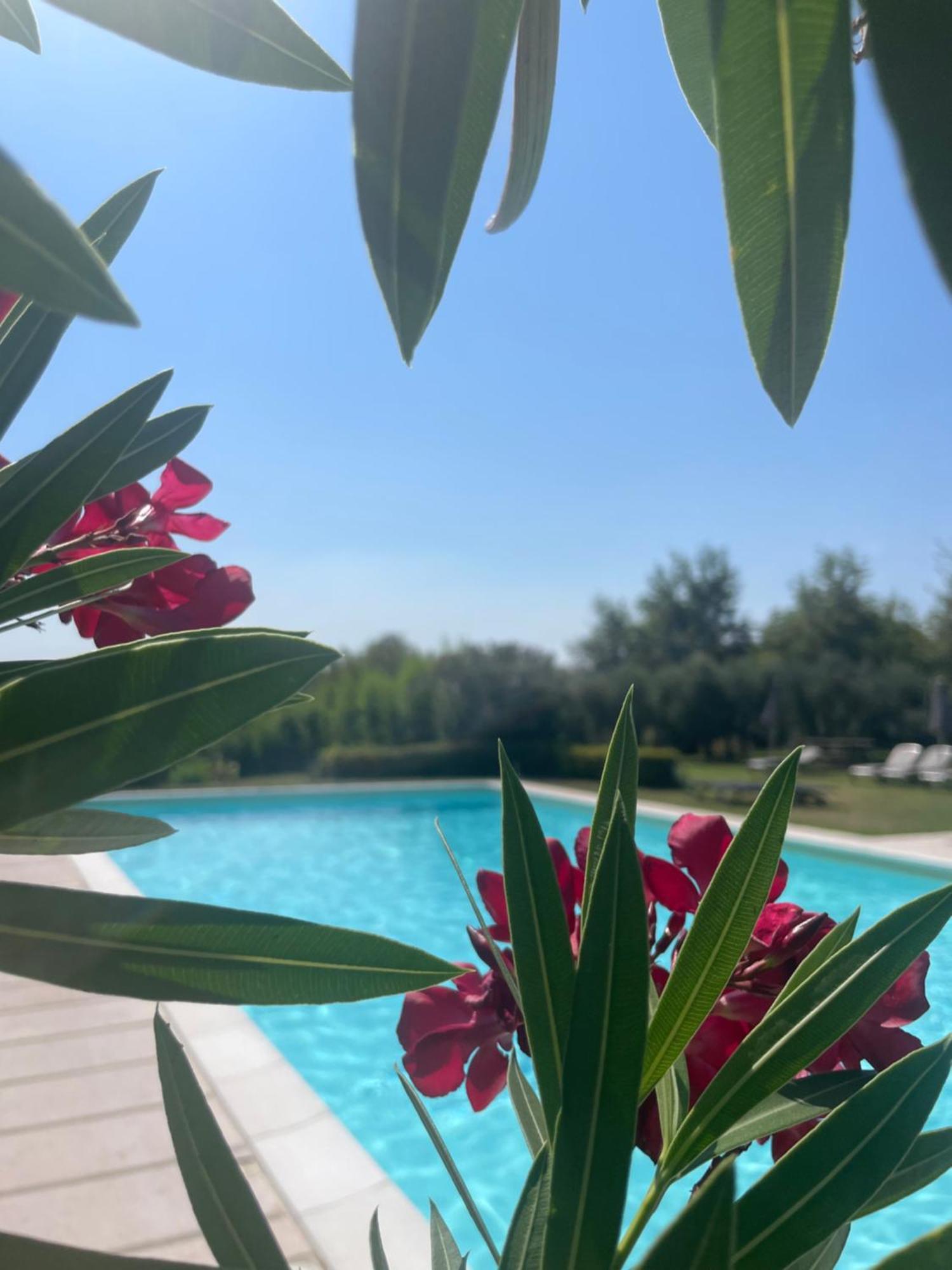 Agriturismo Antica Dimora Del Turco Sona Exteriér fotografie